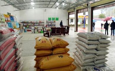 深耕縣域，掘金農資 化肥農藥種子縣級代理經銷商的機遇與挑戰分析